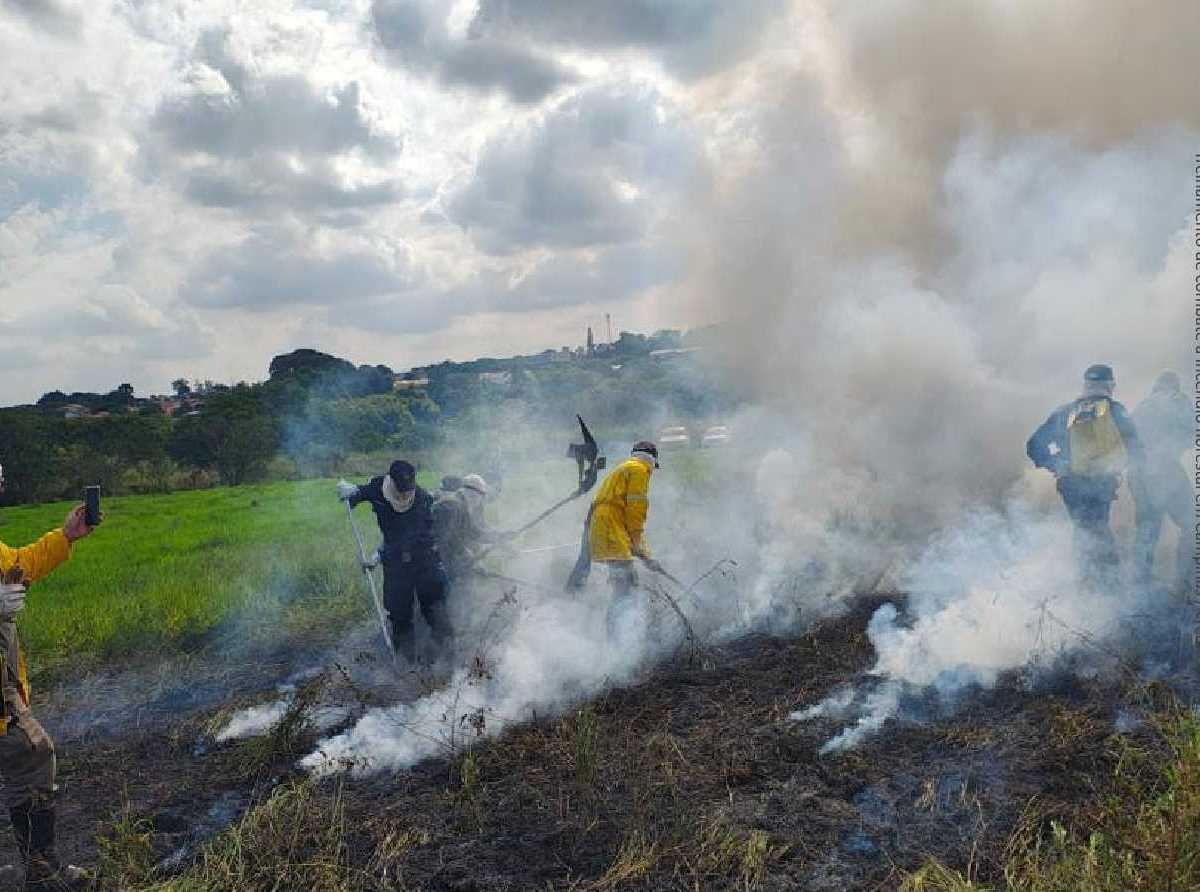 Treinamento de combate a incêndio florestal em Campinas / crédito: PMC