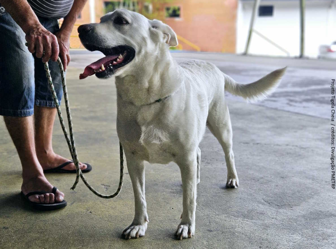  Tigela Cheia - Além da troca de garrafas, evento ainda conta com vacinação e feira de adoções