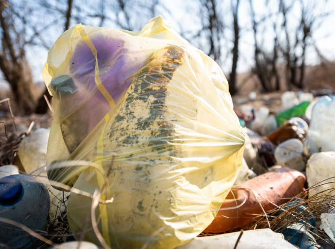 Quanto mais gente, mais ratos? Estudo revela relação entre crescimento populacional e infestação nas cidades