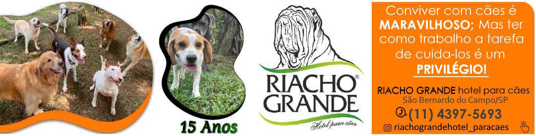 Riacho Grande Hotel Para Cães